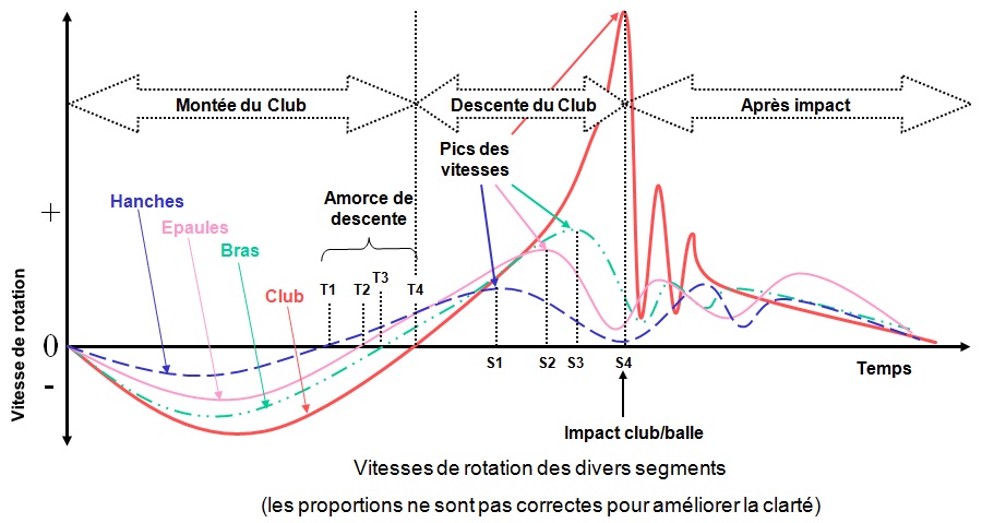 Vitesse de Rotation des Segments