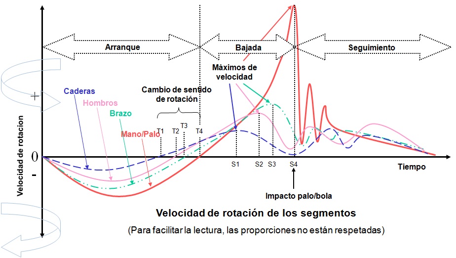 Velocidad Rotacional de Segmentos
